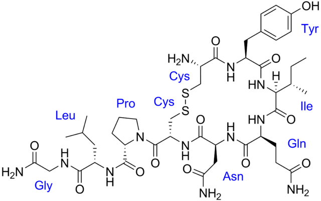 oxytocin-chemical-structure Social Bonding and Addiction