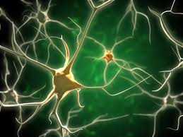 serotonin-addiction Study Shows Serotonin Can Increase Risk of Drug Addiction